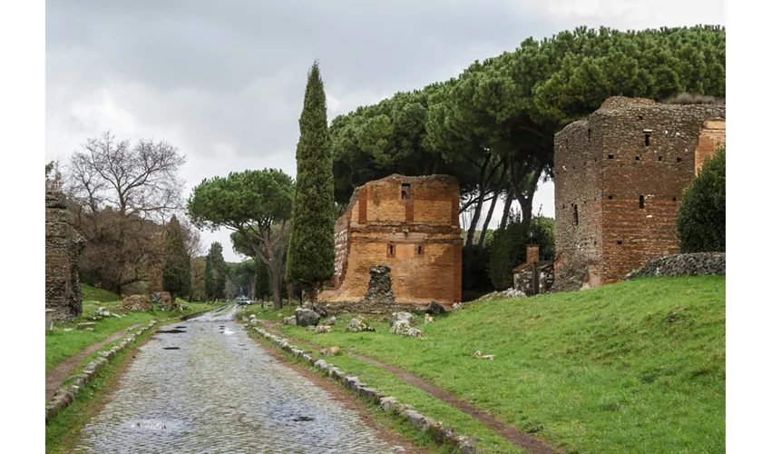 Rome : Visite guidée des catacombes et de la crypte des capucins + transfert