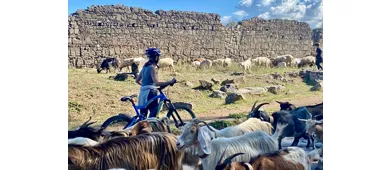 Via Appia: Tour in E-Bike fuori dai sentieri battuti + Catacombe + Cibo