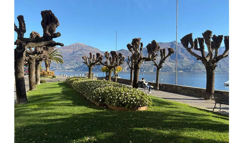 Lago Como, Bellagio y Lugano: Excursión guiada desde Milán + Viaje en Ferry