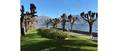 Lago Como, Bellagio y Lugano: Excursión guiada desde Milán + Viaje en Ferry