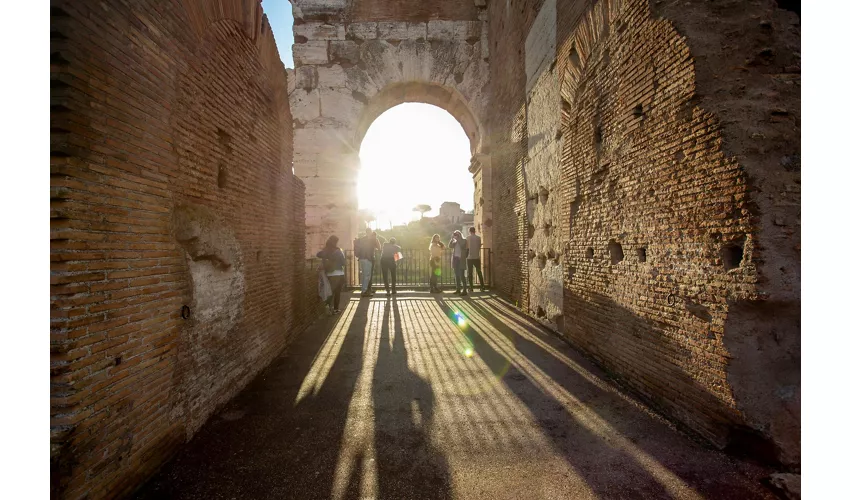 Colosseo, Foro Romano e Palatino + Tour guidato