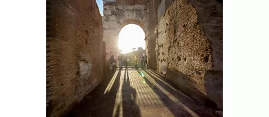 Colosseum, Roman Forum & Palatine Hill + Guided Tour