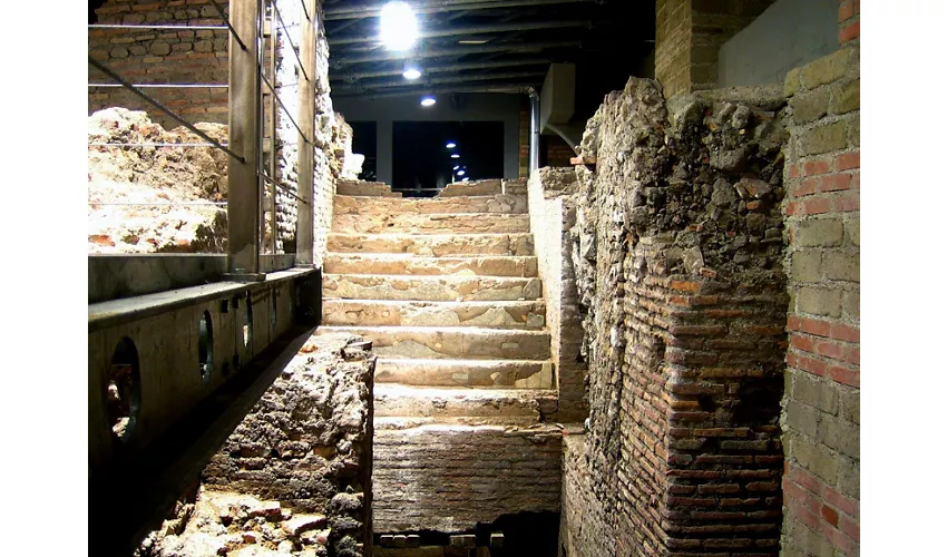 Trevi Fountain Rome: Underground Domus Guided Tour