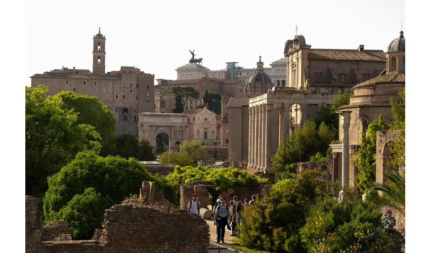 Colosseo, Foro Romano e Palatino + Tour guidato