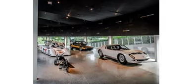 Academia Dallara: Entrada + Acceso al Simulador