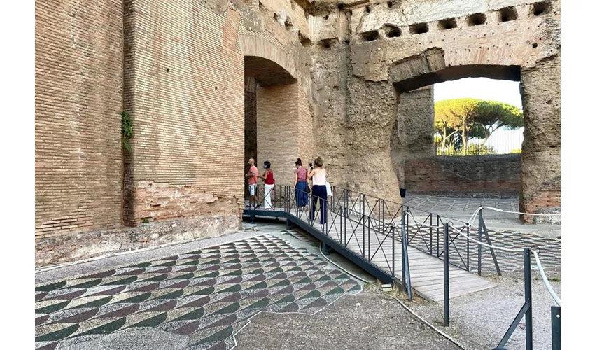 Visita guidata delle Terme di Caracalla e del Circo Massimo