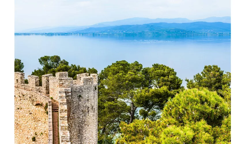 Asís y Orvieto: Excursión guiada de un día desde Roma