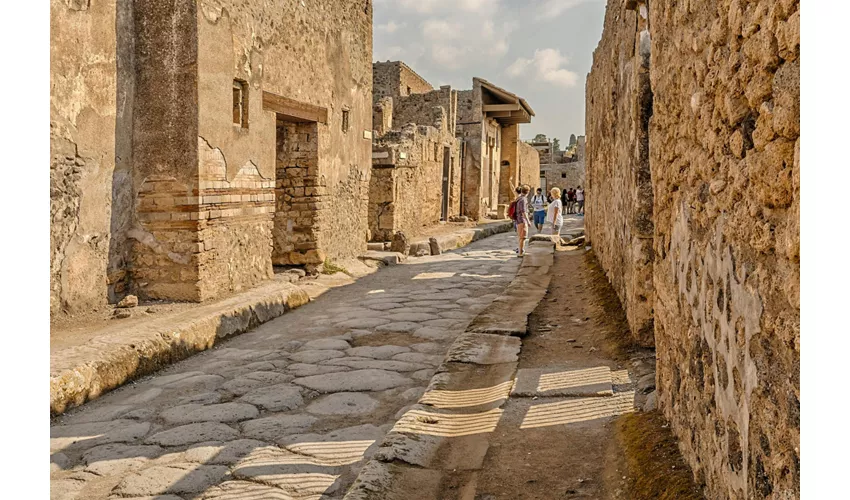 Pompei: Ingresso + Trasporto di andata e ritorno da Roma