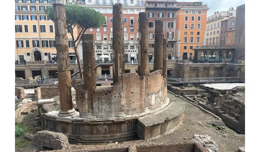 Roma: Entrada Zona Arqueológica Largo Argentina