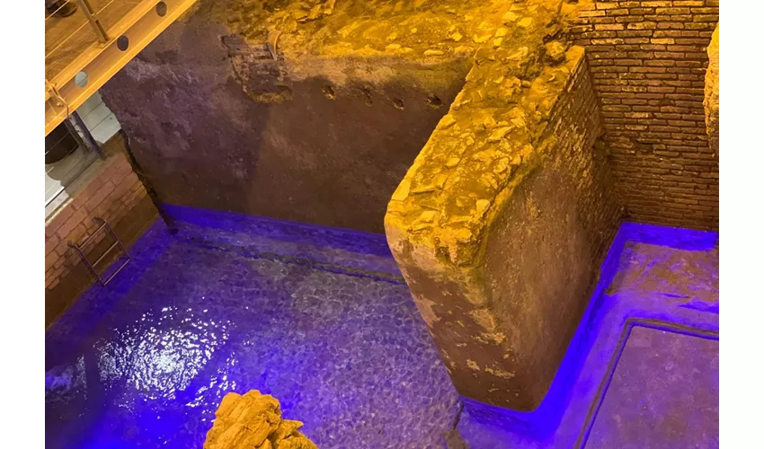Fontana de Trevi Roma: Visita guiada a la Domus Subterránea + Visita a pie de la ciudad