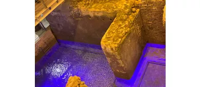 Fontana di Trevi: Tour guidato Domus Sotterranee + Tour a piedi della città