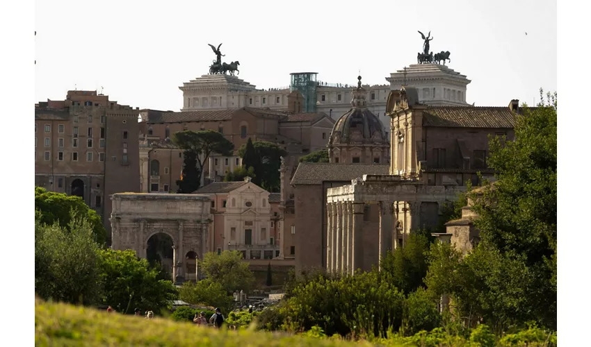 Colosseo, Foro Romano e Palatino + Tour guidato