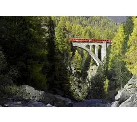 Tren Rojo Bernina y Tren de los Glaciares: Excursión de un día desde Milán