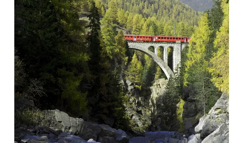 Tren Rojo Bernina y Tren de los Glaciares: Excursión de un día desde Milán