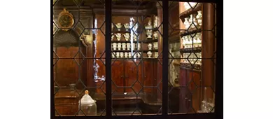Ca' Rezzonico Museo: Biglietto Fast Track