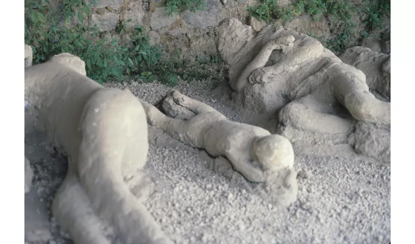 Pompeii & Positano: Small-Group Day Trip from Rome + Limoncello Tasting