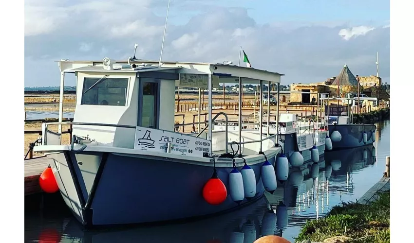 Isla de Mozia: Traslado en barco ida y vuelta desde Marsala + Entrada