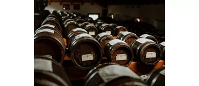 Módena: Visita guiada + Degustación de Vinagre Balsámico