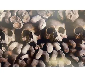 Capuchin Crypt: Reserved Entrance + Audio Guide