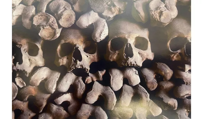 Capuchin Crypt: Reserved Entrance + Audio Guide