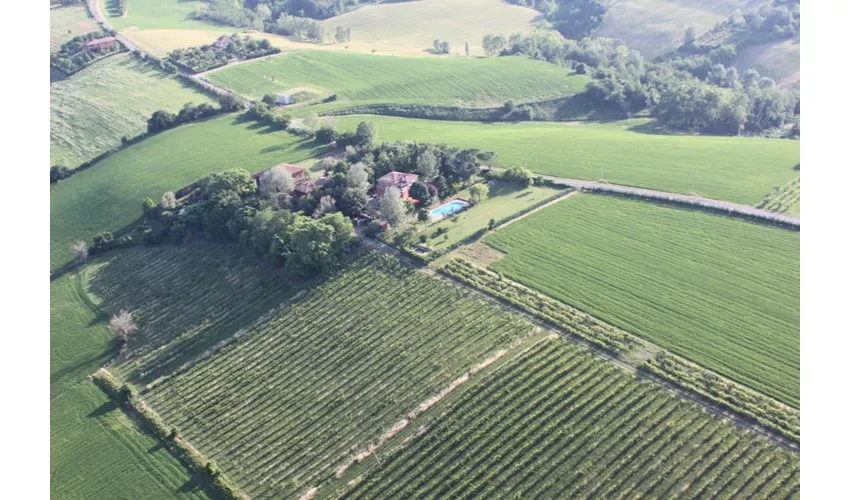 Felsina Culinaria: Clase de cocina + Viaje de ida y vuelta desde San Pietro Terme