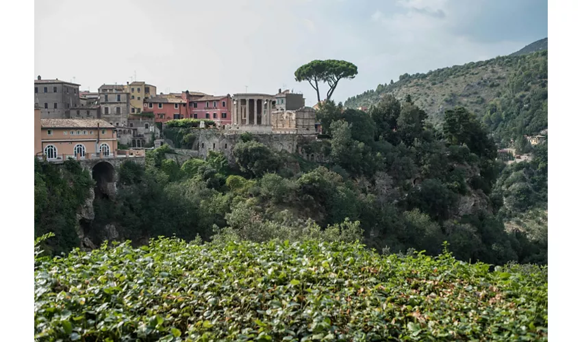 Villa Gregoriana: Entrada