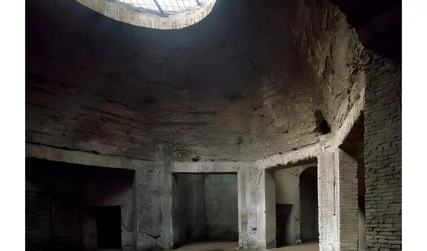 Domus Aurea: Entry Ticket + Guided Tour + VR Experience