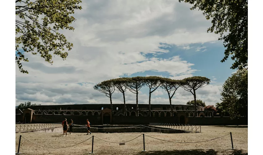 Pompeii: Small Group Guided Tour from Rome + Roundtrip High Speed Train