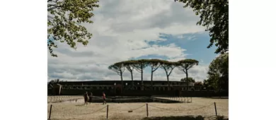 Pompeii: Small Group Guided Tour from Rome + Roundtrip High Speed Train