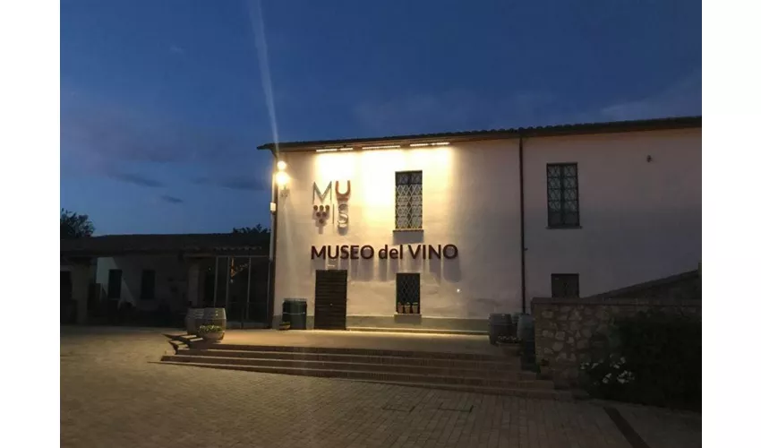 MUVIS Museo del Vino