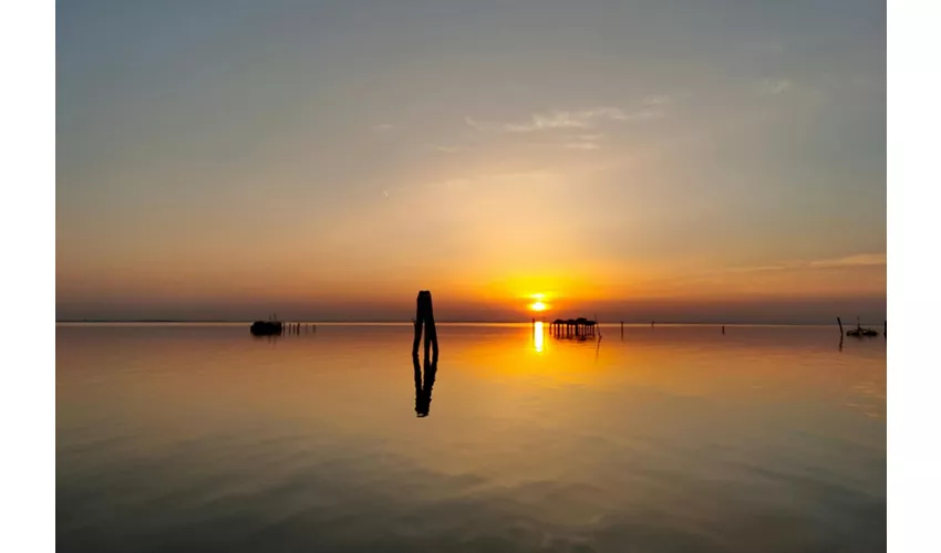 Chioggia: Guided Venetian Lagoon Sunset Boat Tour