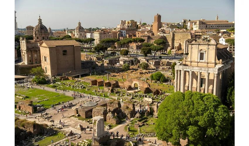 Colosseum, Roman Forum & Palatine Hill + Guided Tour