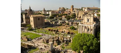 Colosseum, Roman Forum & Palatine Hill + Guided Tour