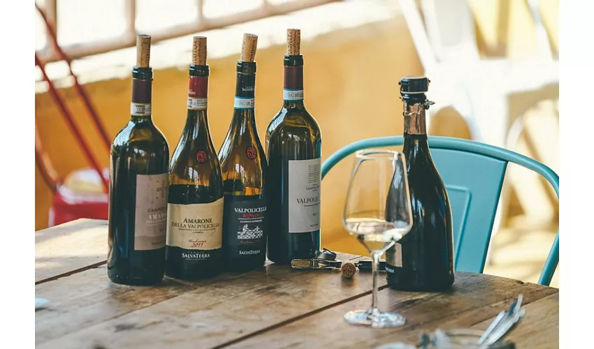 Ruta en e-Bike por el vino Amarone en Valpolicella