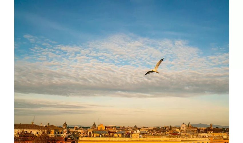 Roma: Opera sul tetto di Trastevere + Aperitivo + Vino