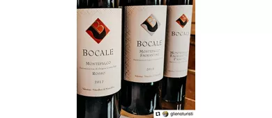Guided Winery Tour and Private Tasting in Montefalco