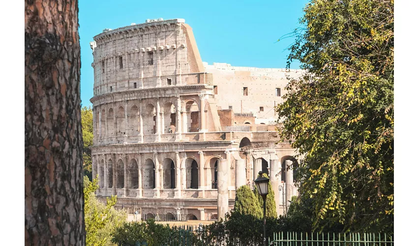 Tour guidato del Colosseo, Foro Romano e Palatino