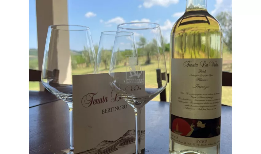Tenuta La Viola: Guided Tour and Wine Tasting