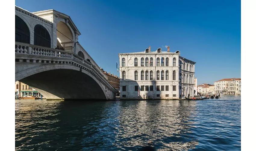 Venice: St. Mark's Square Historical City Walking Tour