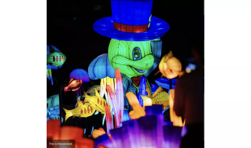 This is Wonderland - Pinocchio - Back To Wood: Entrada