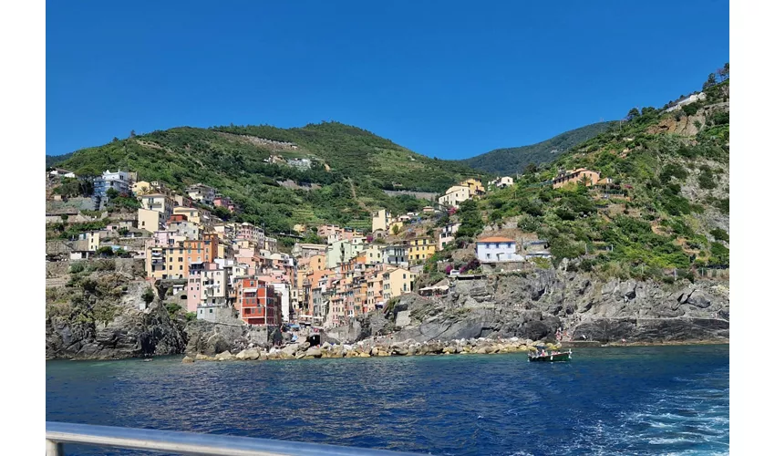 Cinque Terre e Portovenere: Gita di un giorno da Milano + crociera in barca