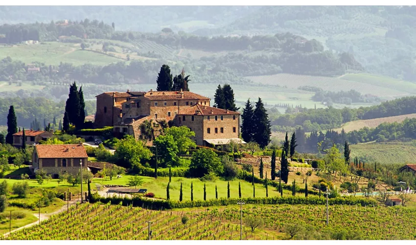 Gita in Toscana da Roma con Pranzo Incluso