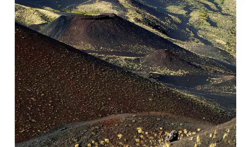 Etna: Excursión desde Catania