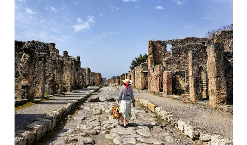 Pompei e il Vesuvio: Tour guidato da Roma + pranzo