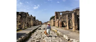 Pompei e il Vesuvio: Tour guidato da Roma + pranzo