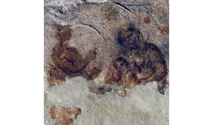 Priscilla Catacomb: Guided Tour
