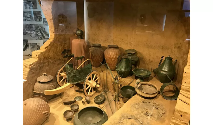 Museo Nazionale Etrusco di Villa Giulia: Biglietto saltafila