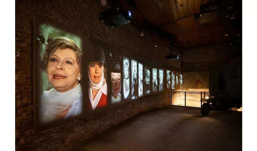 Museo Fellini: Entrada