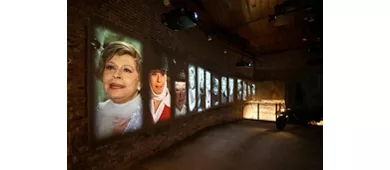 Museo Fellini: Entrada