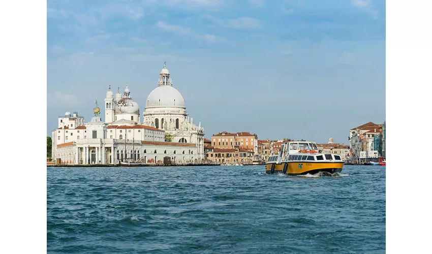 Venice: Alilaguna Boat Transfer to/from Marco Polo Airport and Venice